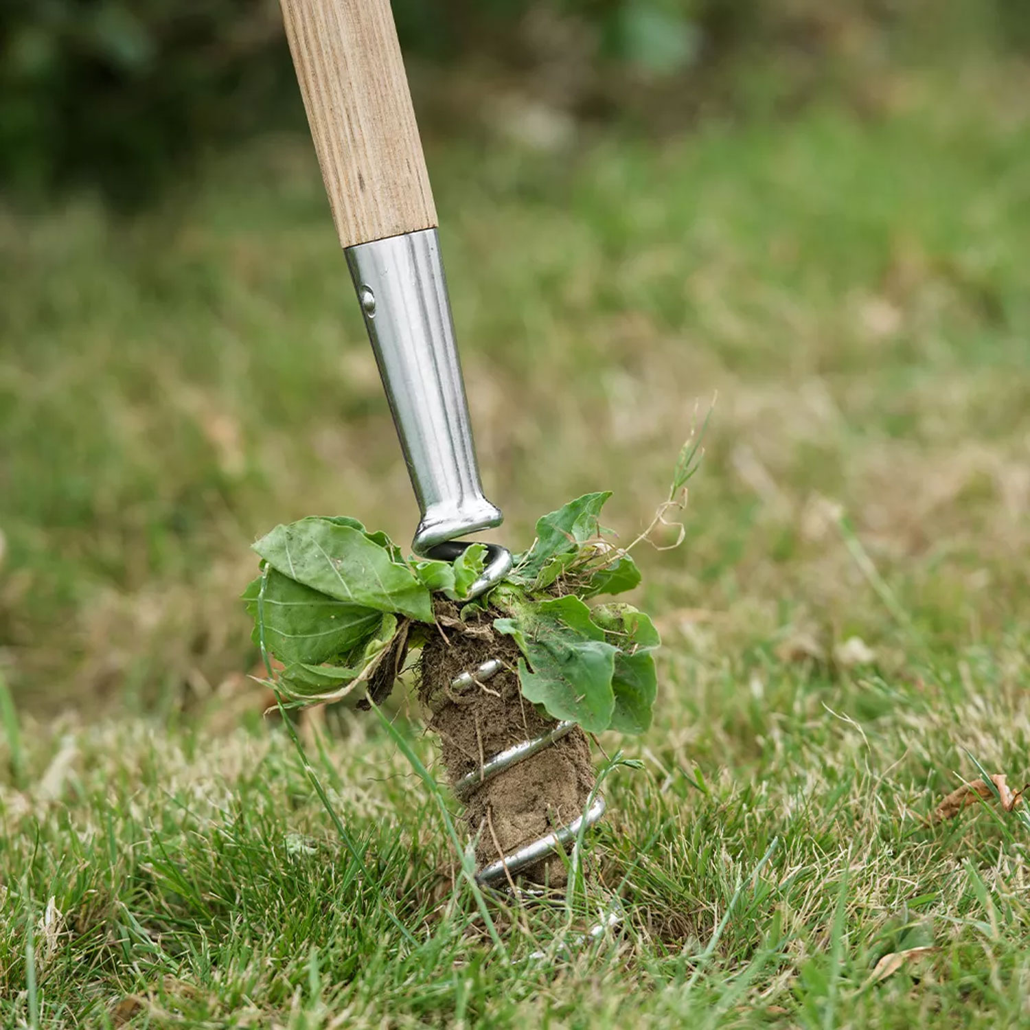Kent & Stowe Stainless Steel Long Corkscrew Weeder - Imagen 2