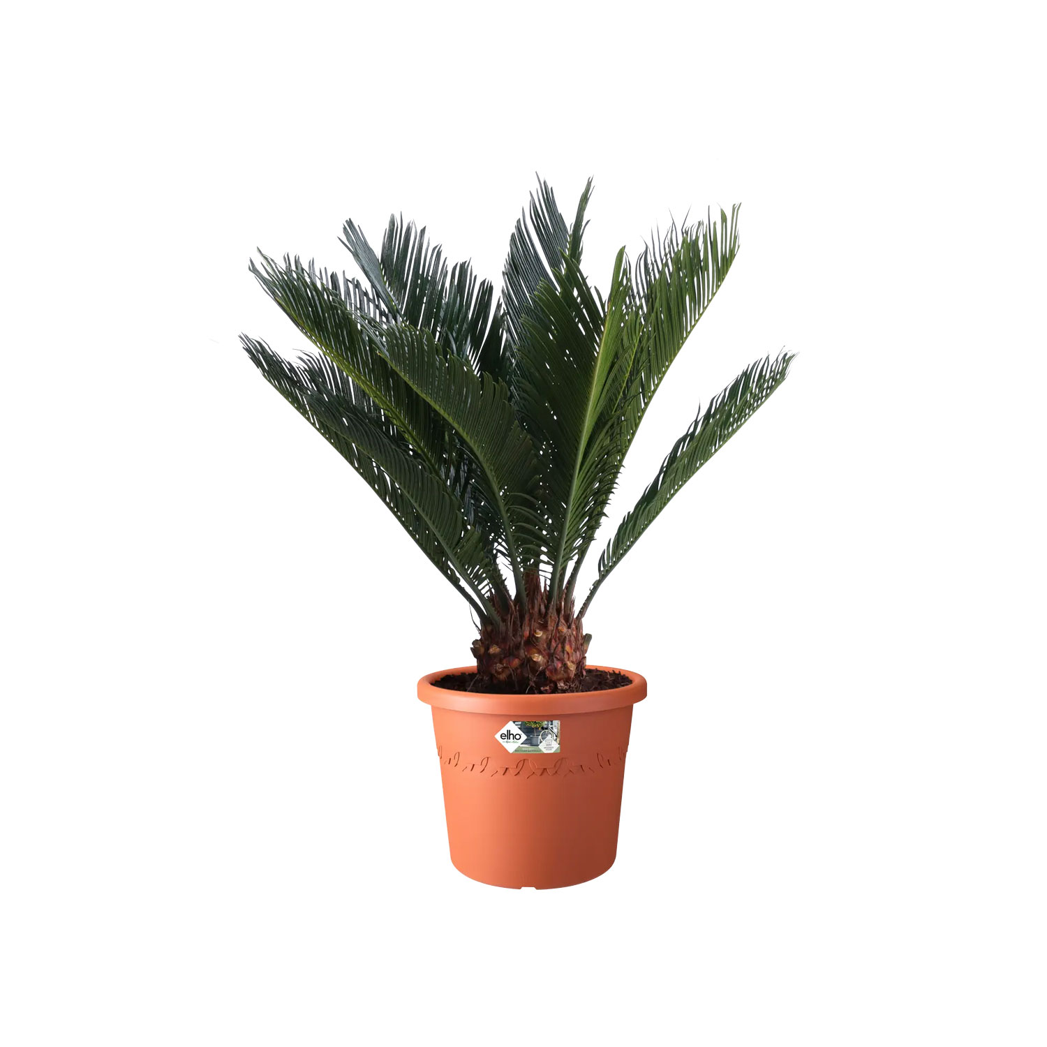 Elho Algarve Cilindro Wheels 58cm Terracotta - Imagen 3